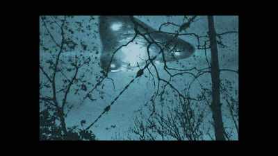 It looked really big,
and there was red and blue. - Truth Hunter