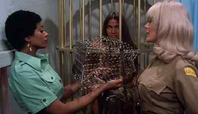 It is looking for moisture. - Ilsa, Harem Keeper of the Oil Sheiks