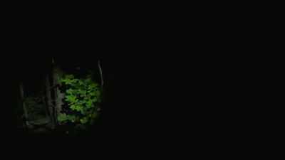  It looks to be moving
 between the trees. - Expedition Bigfoot