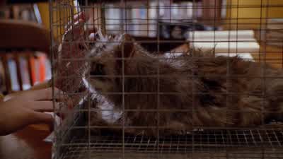 It looks deadIt smells deadYet it's moving aroundThat's interesting - Buffy the Vampire Slayer