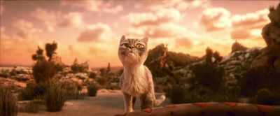 It looks delicious. - Gracie & Pedro: Pets to the Rescue