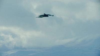 It looks effortless, and it needs to be. - Hostile Planet