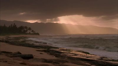 It looks good. The
fever is broken. - Lost