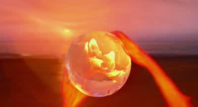 It looks like a Vivisteria flower. - Elemental