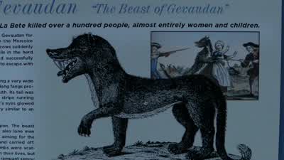 It looks like......a wolf. - Teen Wolf