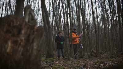 It looks like it's
getting thick up here, - Secrets of the Sasquatch