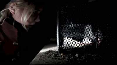 It looks like - The Lost Footage of Leah Sullivan