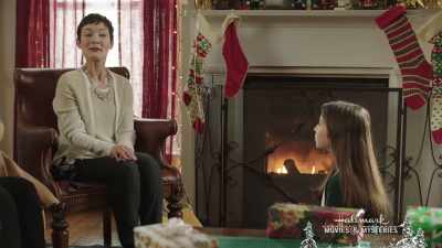 It looks like we'll be
celebrating Christmas here - Last Vermont Christmas