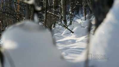 It looks pretty well used, - Life Below Zero: First Alaskans