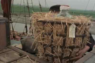 It was made by soaking cotton
in nitric and sulfuric acid; - Connections