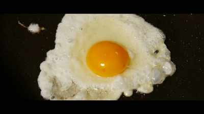 It is made to run a 
baby chicken for 21 days - What the Health