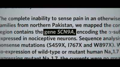It makes a protein that
transmits the pain signal - Human Nature