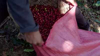 -It may be that there are
some better practices - Impact x Nightline