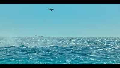 It may be years
until he masters the skills - Our Oceans