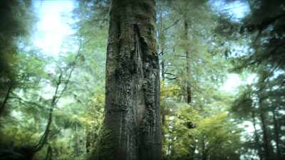 It may look like any other, - Super/Natural