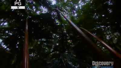 It is morning on Mount Kilauea. - Man vs. Wild