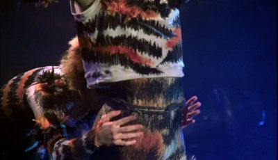 It was Mungojerrie - Cats