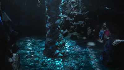 It must be what's messed with
the octopuses' navigation - Rock Island Mysteries