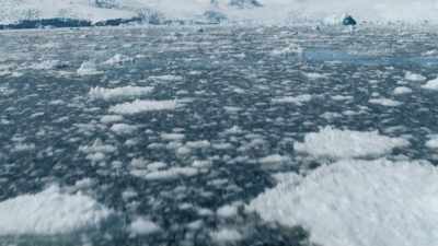 It must have been pretty
desperate to see salvation so
close. - Shackleton: The Greatest Story of Survival