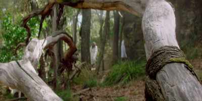 It must have seemed like - Picnic at Hanging Rock