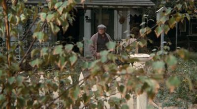 "It needs new paint
and shingles - The Waltons