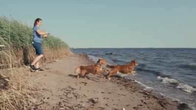 It is not at all that being
big, bad alpha makes you superior. - Inside the Mind of a Dog