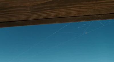 It is not often that someone comes along - Charlotte's Web