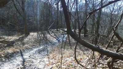 It was on the other side
of the river. - Buried In The Backyard