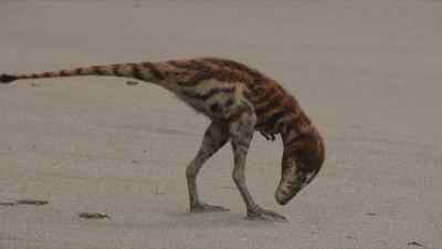 It pays for any hunter to be inquisitive. - Prehistoric Planet
