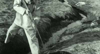 It was perceived that
the seals were responsible - After the Bite