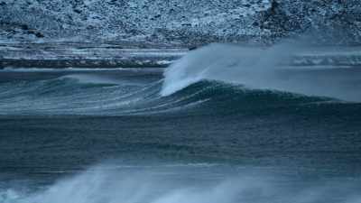 It was pretty
wild out there. - Limitless with Chris Hemsworth