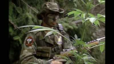 It was really a pretty good operation. - Murder Mountain