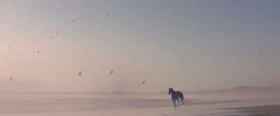 It really did feel like flying.

 - Black Beauty