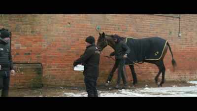 It really doesn't
matter wherever the race meeting is, - Horsepower