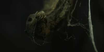 It was really exciting to feel - Interview with the Vampire