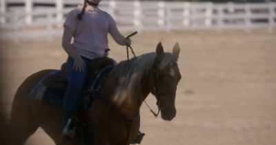 It was really good riding today. - Horse Girl