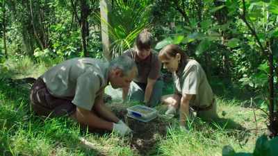 It really is like you're digging up
treasure, isn't it? - Modern Dinosaurs