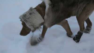 It really makes me feel
complete on this land, - Life Below Zero: Next Generation