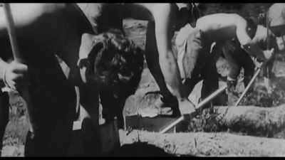 It relates to working out
a plan of cooperation with nature - Kiss the Ground