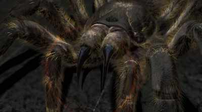 It releases a potent
tissue-dissolving venom. - Kings of Pain
