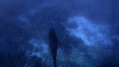 It resonates
within my entire body cavity. - Secrets of the Whales