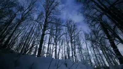It'’s crazy the, - Life Below Zero: Next Generation