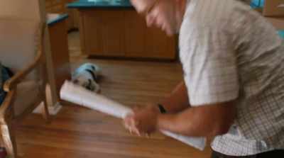 It'’s not about the proj--
Well, it is about the project. - Pups Alone