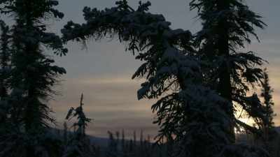 It'’s pretty damn
cold out, but, - Life Below Zero: Next Generation