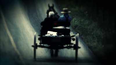 It’s very definitely
the men running it. - Sins of the Amish