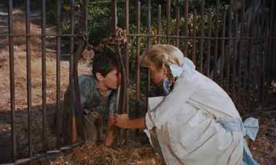 It says, "Keep out." - Pollyanna