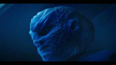 It seeks universal
homogenization and assimilation. - Star Trek: Discovery