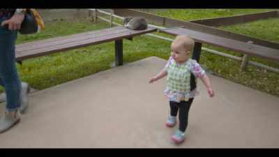 It seemed as if, once they made
that transition from crawling to walking, - Babies