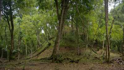 It seemed much smaller
than other great Maya cities. - Lost Treasures of the Maya
