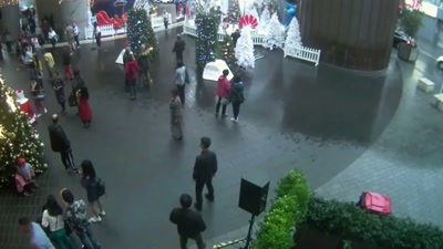 It seems a really friendly,
nice initial meeting. - Killers: Caught on Camera